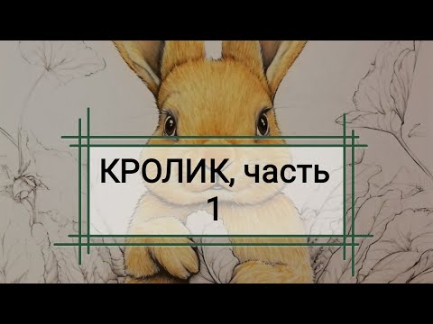 Видео: КРОЛИК, часть 1. 