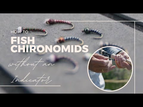 Видео: Как ловить рыбу-хирономиду без индикатора