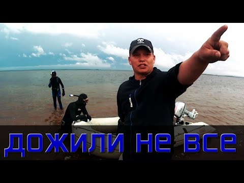 Видео: Моторы Гладиатор после сезона в прокате. 9.9 и 5 л.с.