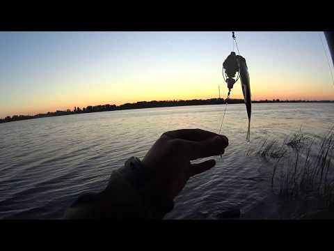 Видео: Битва прикормок для рыбалки,бешеный клёв,фильм второй (Дневник рыболова)