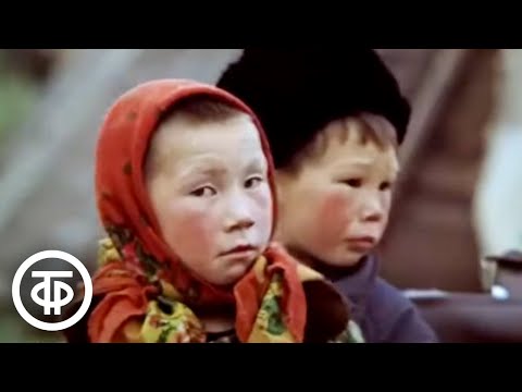 Видео: Документальный фильм о жизни ненцев. "Нам снятся олени" (1982)