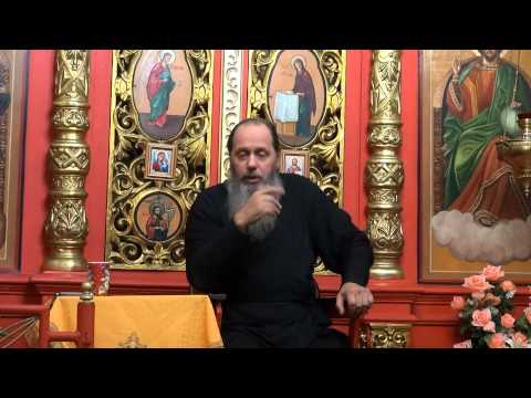 Видео: О таланте безбрачия (прот. Владимир Головин, г. Болгар)