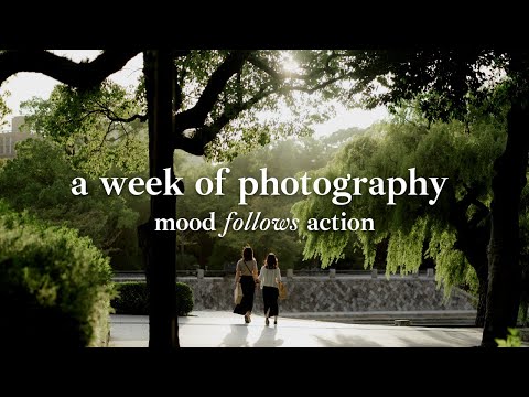 Видео: Я занимался уличной фотографией каждый день в течение недели, и вот результаты / Sony A7IV