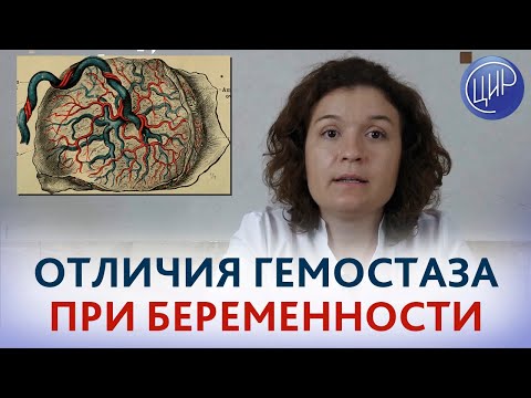 Видео: Гемостаз при беременности. Кровообращение при беременности и плацента человека.