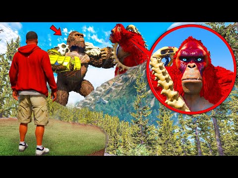 Видео: ҚЫЗЫЛ КОНГ vs КИНГ КОНГ ШАЙҚАСТЫ (GTA V)