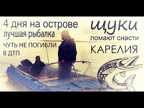 Видео: Щуки ломают снасти, Сегозеро, на острове в Карелии