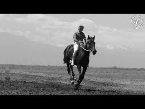 Видео: ҚАРА ТАЙДЫҢ АҚЫРҒЫ БӘЙГЕСІ (әңгіме)