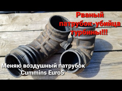 Видео: Замена воздушных патрубков на Cummins Euro5. Газель Некст.