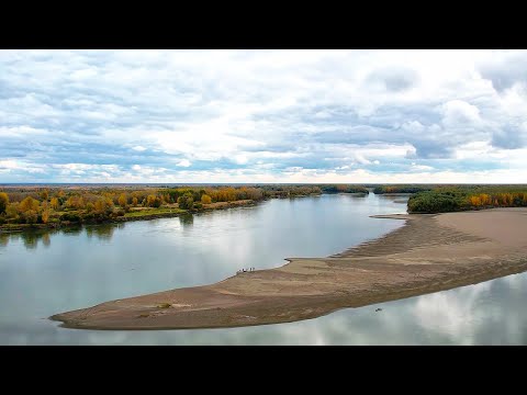 Видео: НОВОЕ МЕСТО РАЗДАЁТ! Судак, щука, лещ! Незабываемая РЫБАЛКА на реке.