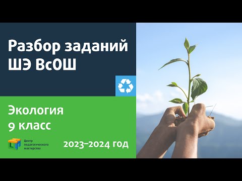 Видео: Разбор заданий ШЭ ВсОШ по экологии 9 класс