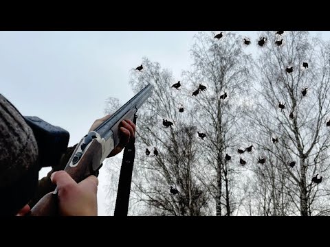 Видео: Чёрные Косачи и Заяц!!! Охота на Тетерева Зимой.