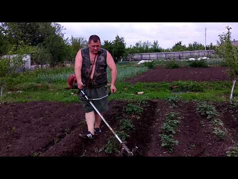 Видео: вторая прополка междурядий картошки насадкой на бензокосу