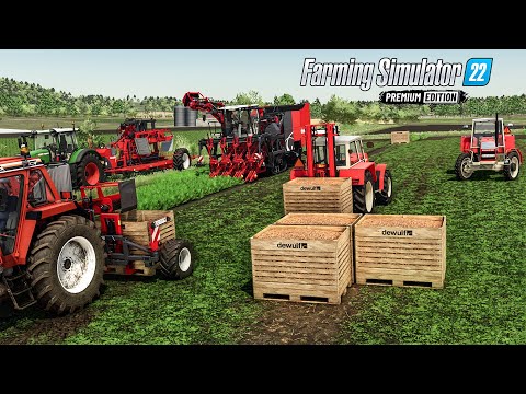 Видео: Сбор моркови с помощью всех новых машин из премиум-DLC (палитра изготовления овощей) | FS 22
