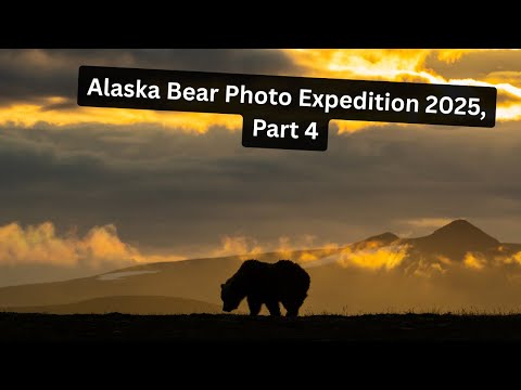 Видео: Фотоэкспедиция по наблюдению за бурыми медведями на Аляске, часть 4. На лагерь обрушился самый си...