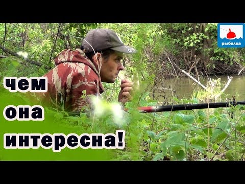 Видео: Отчёт о рыбалке на майского жука. Чем мне эта рыбалка нравится