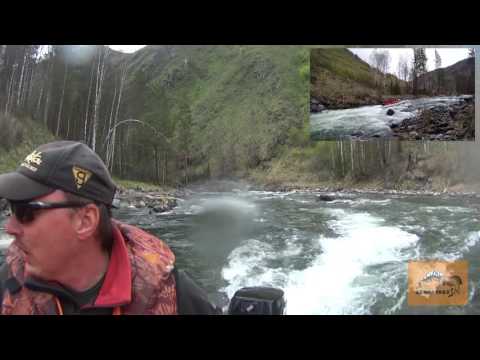 Видео: Горная река Чемал (Чемалка)/Открытие водометного сезона в республике АЛТАЙ/Две лодки Solar 420 jet