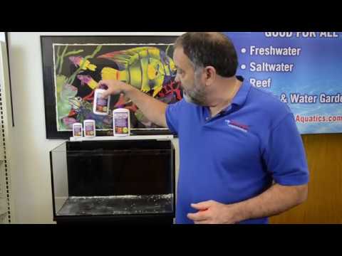 Видео: Велоспорт 101: использование одной-единственной нитрифицирующей бактерии