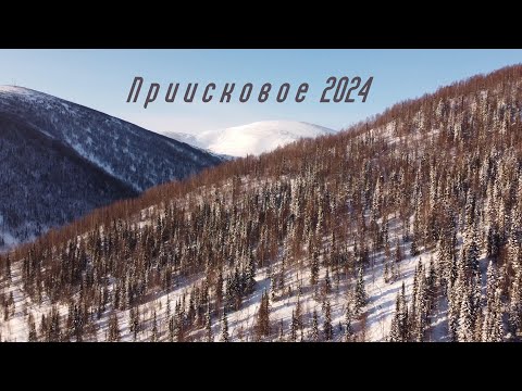 Видео: ПРИИСКОВОЕ 2024