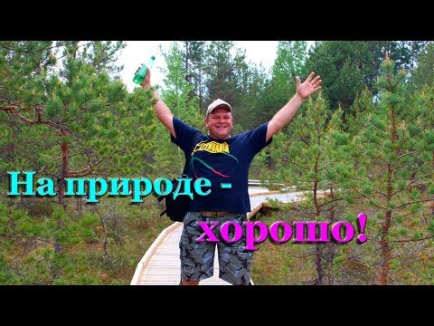 Видео: 111. Прогулка по южной Эстонии, продолжение. Загадочные места и интересности. 4К.