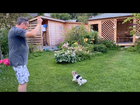 Видео: VLOG Вернулись на дачу! Грозы ходят 25-28.07.22