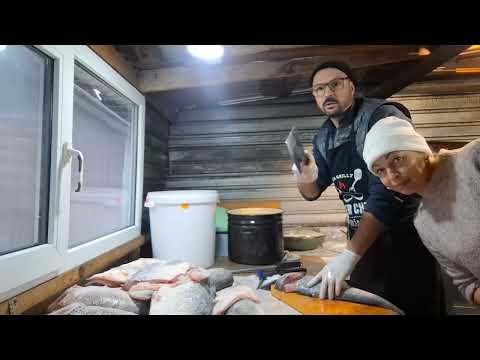 Видео: Як Товстолоба нарізаю‼️Супер Легкі заробітки-Рибку Лови соли та закривай❌️