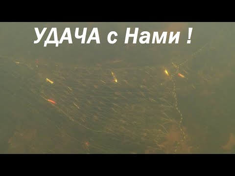 Видео: Браконьерская сеть-ГОРЕ рыбакам, подвохам-СЧАСТЬЕ / Poaching network-WOE to fishermen