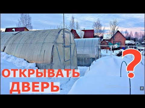 Видео: Теплица зимой. ОТКРЫВАТЬ ДВЕРЬ? ЗАБРАСЫВАТЬ СНЕГ?