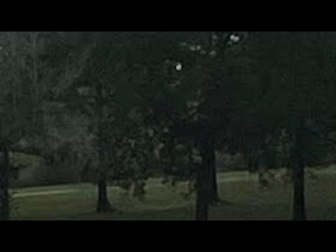 Видео: The backrooms-Уровень -301 "Дикий пейзаж"