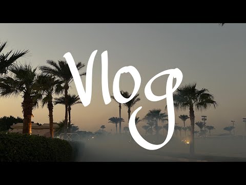 Видео: Vlog из Египта 🌊 Concorde el salam