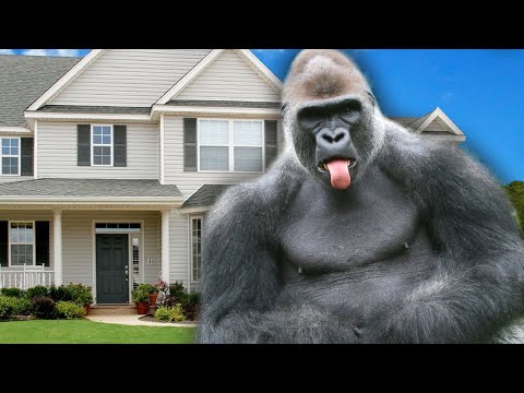 Видео: Хаус Флиппер - PrankHouseTV