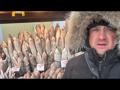 Видео: Что Едят Люди на Крайнем Севере! Вкусная Сырая Еда! Якутия!