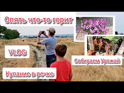 Видео: Как бы так сделать, чтобы не работать и хорошо жить?