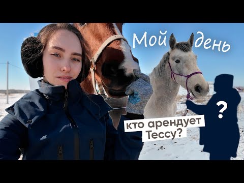 Видео: День из жизни: конюшня, травмы и домашние хлопоты VLOG