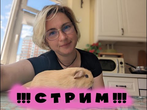 Видео: Морские свинки: ответы на ваши вопросы!!! Наиболее полная версия !!!