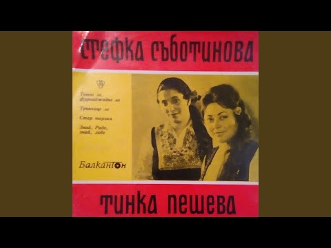 Видео: Стар терзия