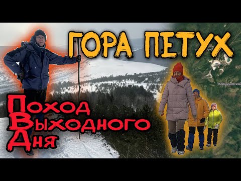 Видео: Петух-гора