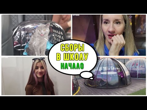 Видео: СБОРЫ В ШКОЛУ НАЧАЛО...7 класс/  МОИ ПОДОЗРЕНИЯ ПОДТВЕРДИЛИСЬ.../ ВОЗМУЩАЮСЬ ПОСЛЕ РОД. СОБРАНИЯ