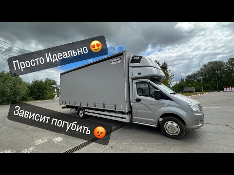 Видео: Крысиный поступок😡😡! Лучшая Газель!