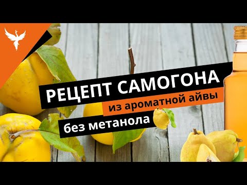 Видео: сДЖ 12: Видео рецепт самогона из ароматной айвы без метанола