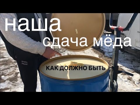 Видео: 💳Наша сдача мёда оптом (как должно быть)🇺🇦мёд оптом