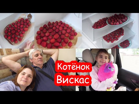 Видео: VLOG Замораживаю клубнику. Молния попала в дерево и трансформатор