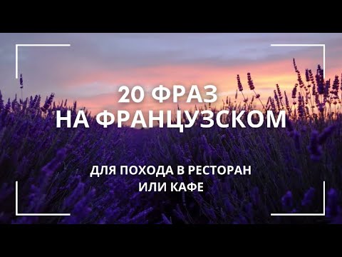 Видео: Уроки французского 20 фраз для похода в ресторан или кафе