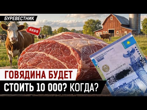 Видео: Кто виноват, что в Казахстане так подорожало мясо? Подешевеет ли оно?