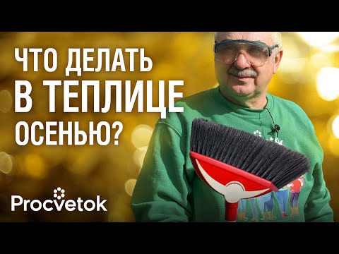 Видео: БЕЗ ФИТОФОТРЫ И КЛАДОСПОРИОЗА! Как я обеззараживаю и повышаю плодородие почвы в теплице осенью