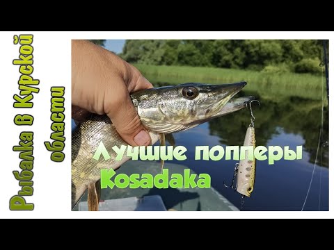 Видео: Лучшие попперы сезона 2021 от компании Kosadaka