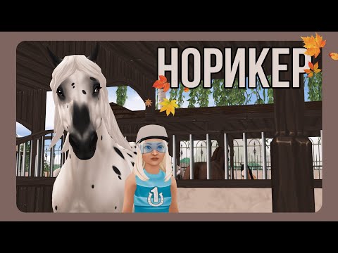 Видео: НОРИКЕР - обзор | Star Stable