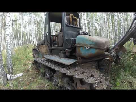 Видео: Лесной монстр наконец то в родной стихии