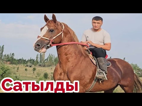 Видео: Чыкты Сатылды✊️