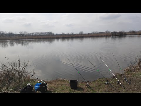 Видео: Ловили РЫБУ. НАЛОВИЛИ КАРАСЯ. ПОЖАРИЛИ НА КОСТРЕ. ОТДЫХ СУПЕР!!! погода отличная..2023г