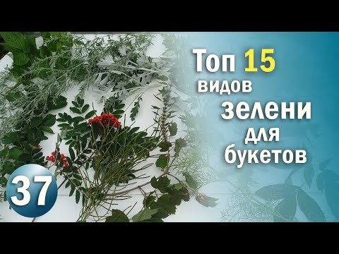 Видео: 15 Видов ЗЕЛЕНИ с Которыми Ваши Цветочные композиции станут уникальными / Флористика с Olinbuket